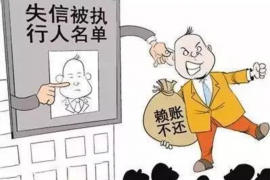 陆丰债务清欠服务